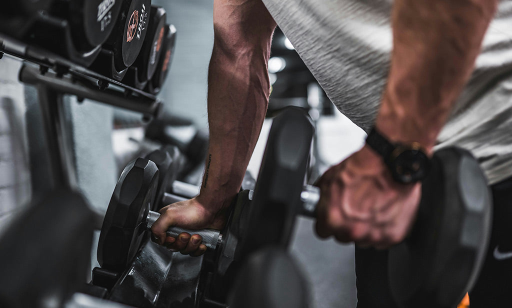 Lifting Weights In Gym